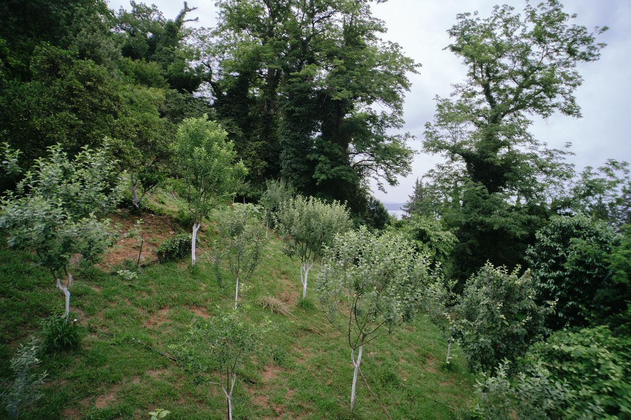 Guest House Bagrat New Athos Bagian luar foto